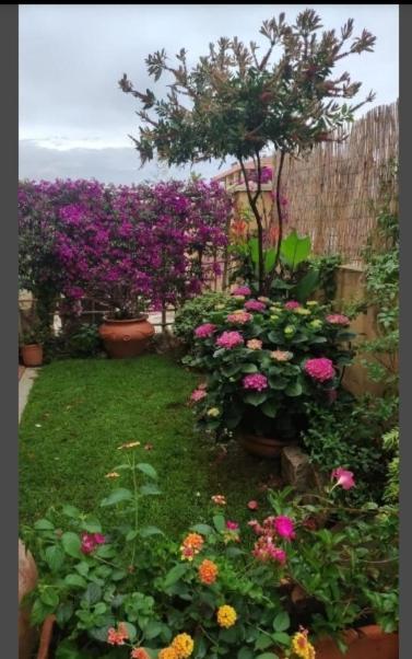 Casa Mariangela Villa Olbia Dış mekan fotoğraf